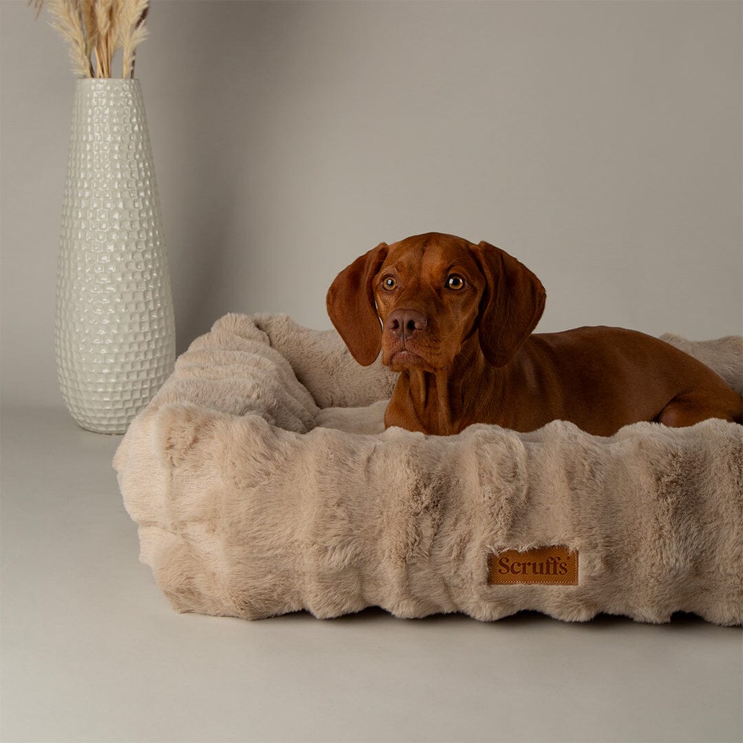 Alpine Box Bed - Champagne Dog Beds Scruffs® 