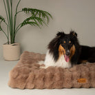 Alpine Mattress - Taupe Dog Beds Scruffs® 