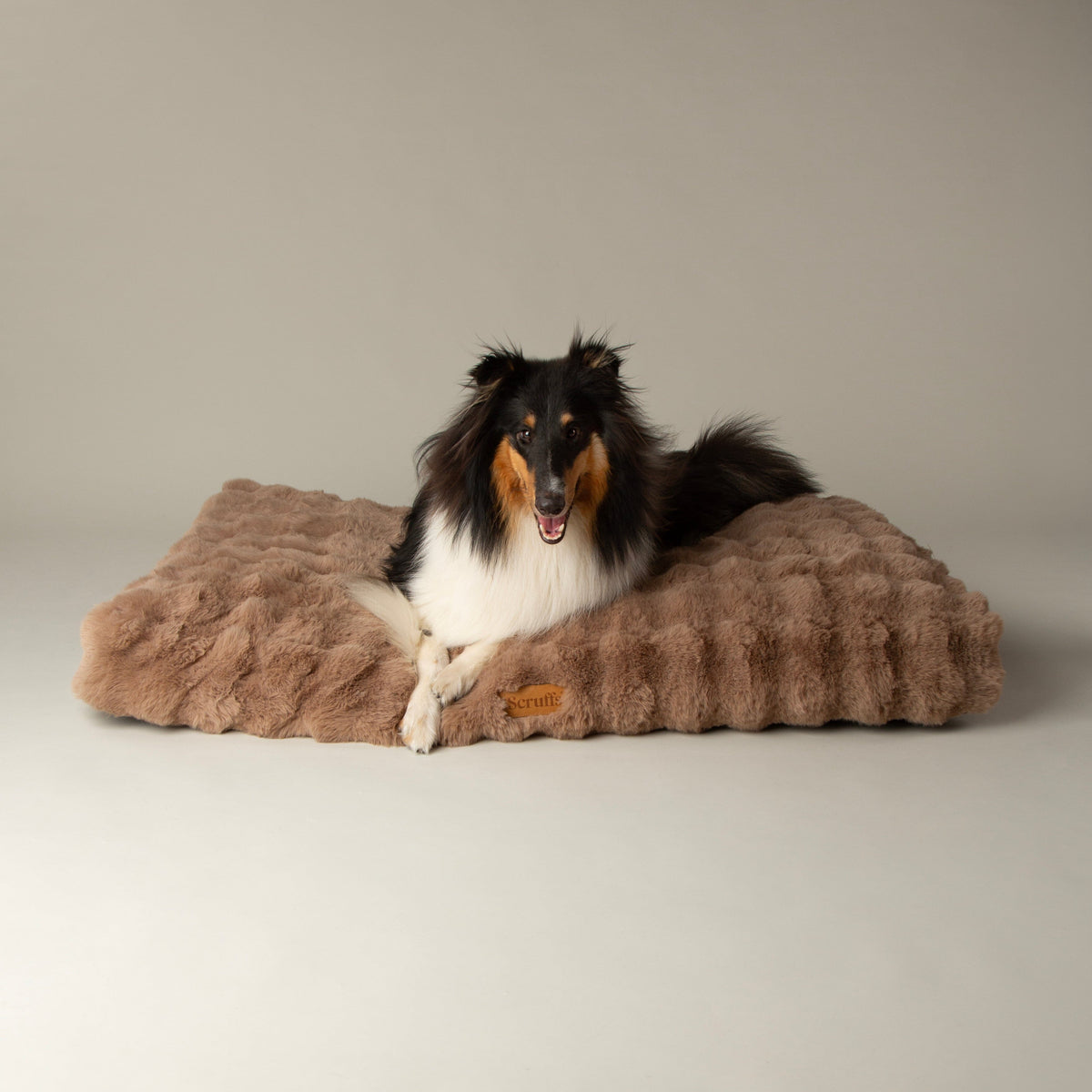 Alpine Mattress