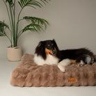 Alpine Mattress - Taupe Dog Beds Scruffs® 