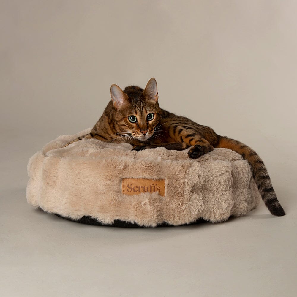 Alpine Cat Bed Champagne