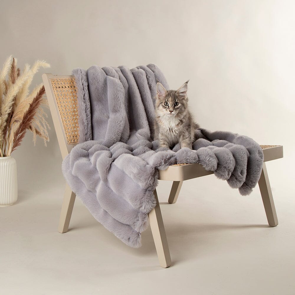 Aspen Pet Blanket