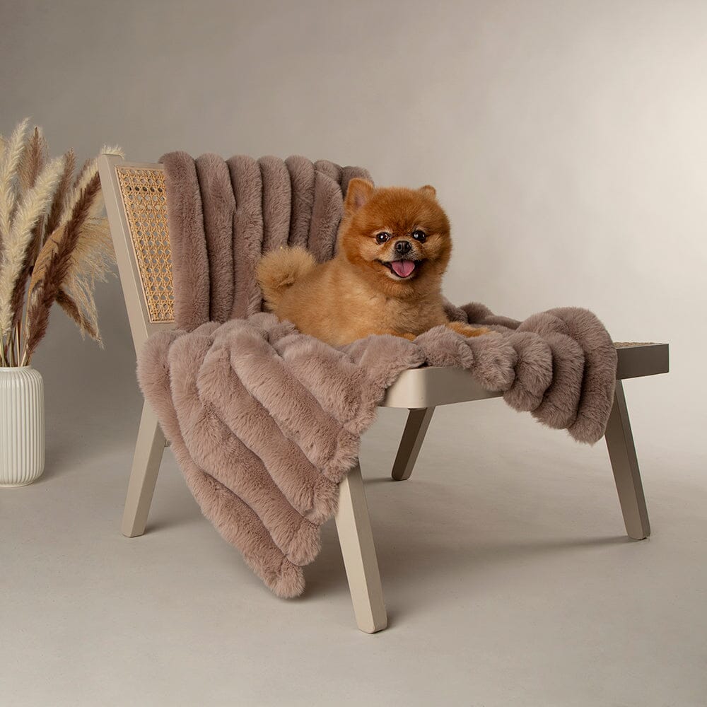 Aspen Pet Blanket