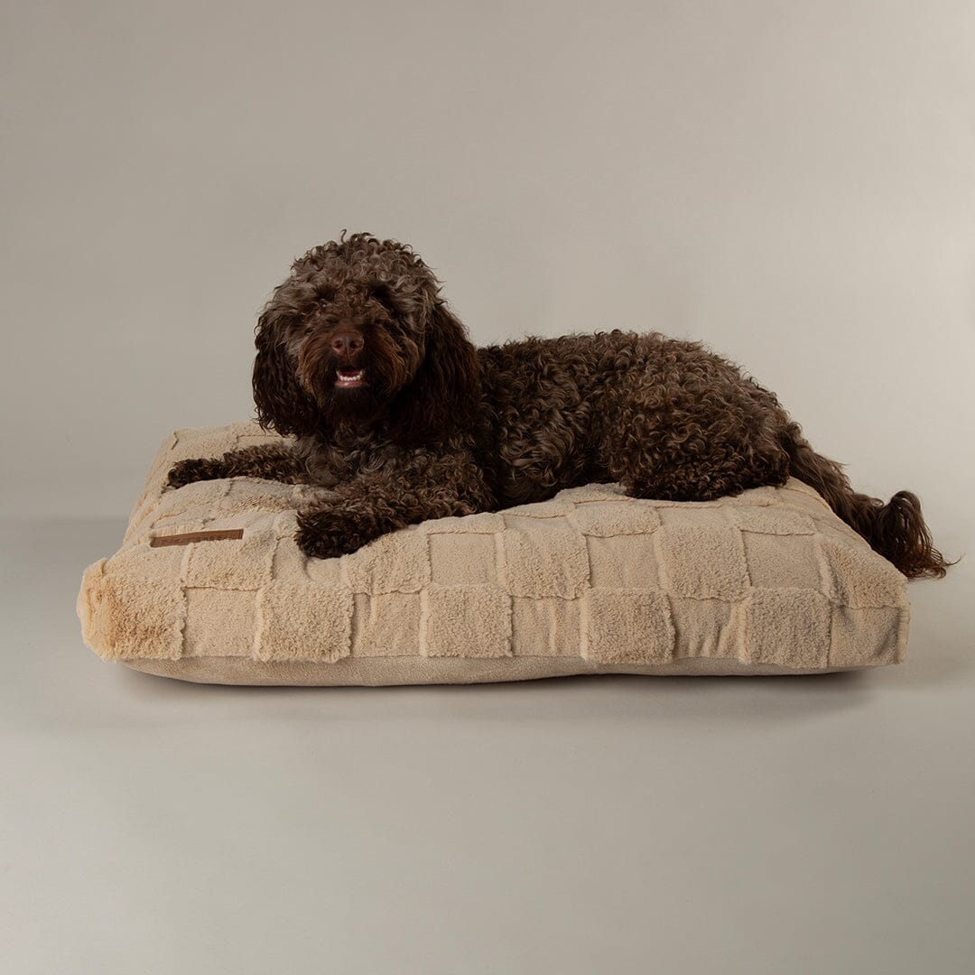 Scruffs® Oxford Orthopaedic Pet Mattress
