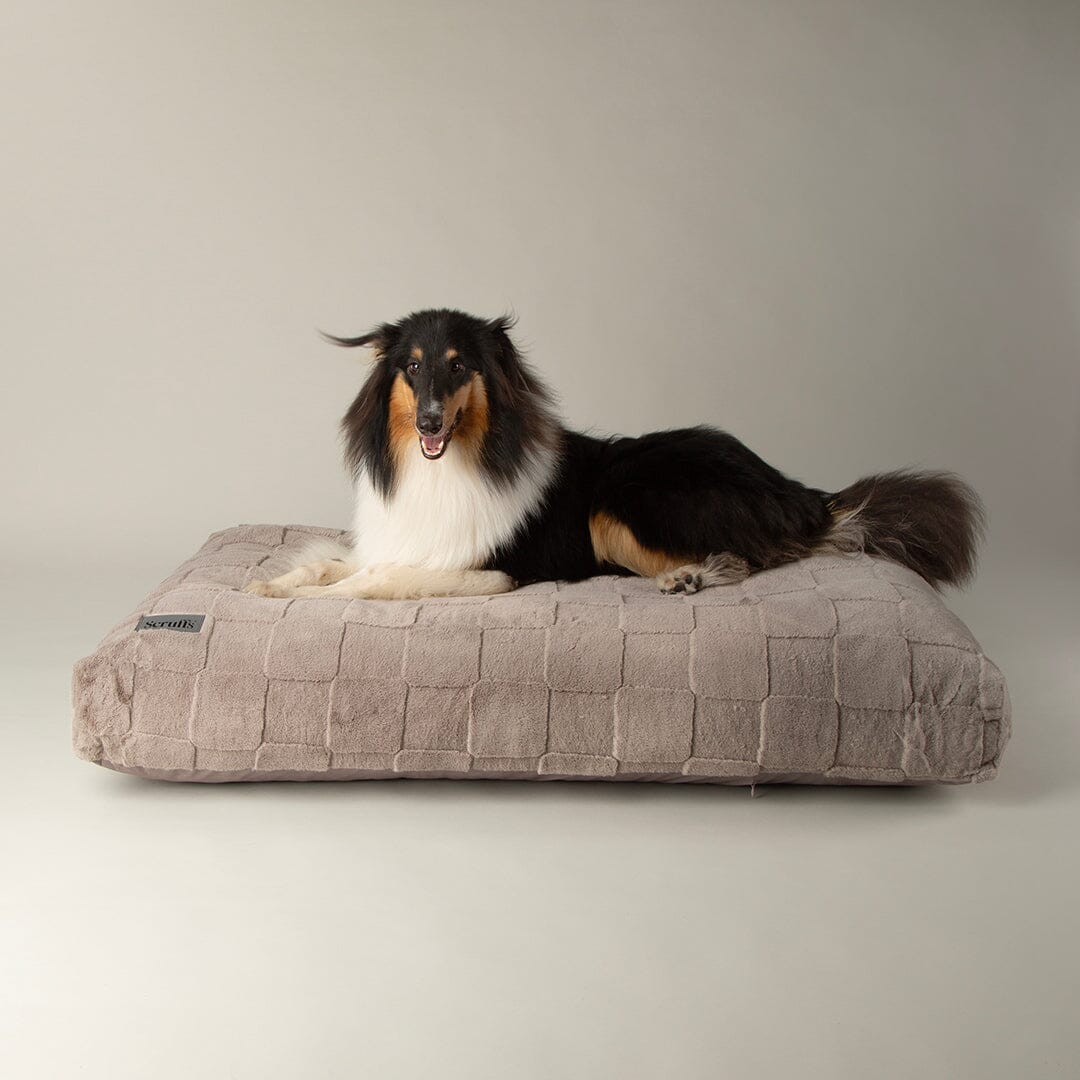 Oxford Orthopaedic Mattress - Silver Dog Bed Scruffs® 