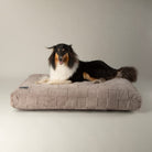 Oxford Orthopaedic Mattress - Silver Dog Bed Scruffs® 