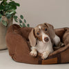 Chester Box Dog Bed - Chocolate Brown Dog Bed Scruffs® 