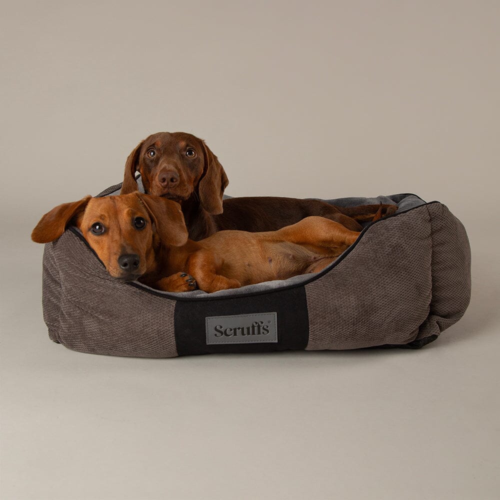 Chester Box Dog Bed Graphite
