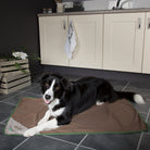 Insect Shield Dog Blanket Dog Blanket Scruffs® 