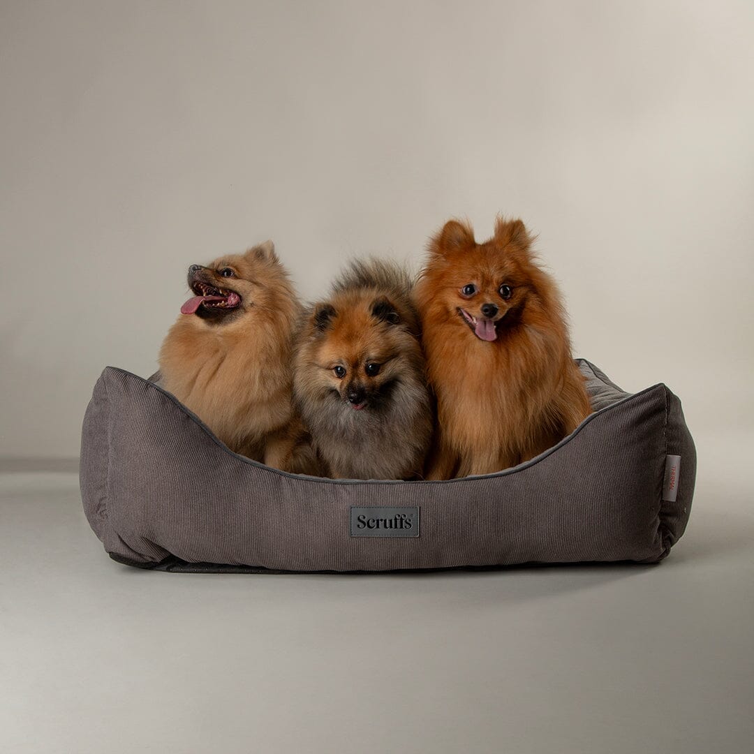 Thermal Self Heating Box Bed