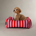 Amalfi Striped Box Bed in pink with small dog on