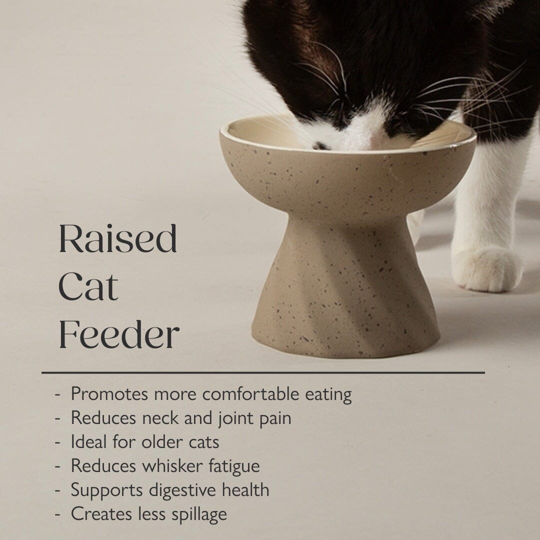 Zen 2 Piece Cat Raised Cat Feeder & Saucer Set - Brown Pet Bowls, Feeders & Waterers Scruffs® 