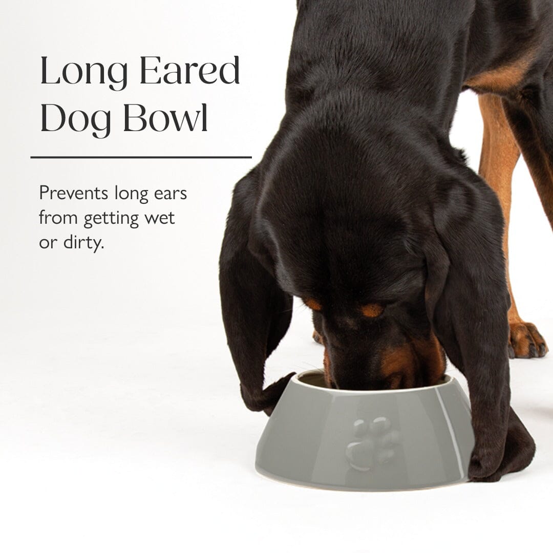 Icon 2 Piece Long Eared Dog Food & Water Bowl - Cream Pet Bowls, Feeders & Waterers Scruffs® 