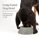 Icon 2 Piece Long Eared Dog Food & Water Bowl - Cream Pet Bowls, Feeders & Waterers Scruffs® 