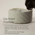 Zen Cat Water Fountain 20cm - Brown Pet Bowls, Feeders & Waterers Scruffs® 