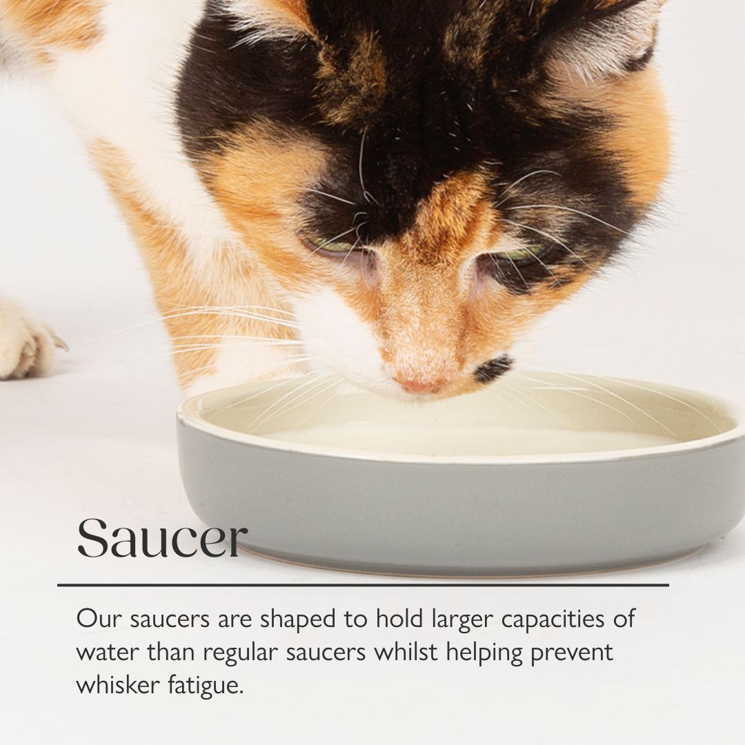 Classic Raised Cat Feeder Bowl & Saucer Set - Grey Pet Bowls, Feeders & Waterers Scruffs® 