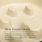 Icon 2 Piece Dog Slow Feeder & Water Bowl Set - 20cm - Cream Pet Bowls, Feeders & Waterers Scruffs® 