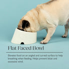 Icon 2 Piece Flat Faced Dog Bowl & Water Bowl - 15cm | 18cm - Cream Pet Bowls, Feeders & Waterers Scruffs® 
