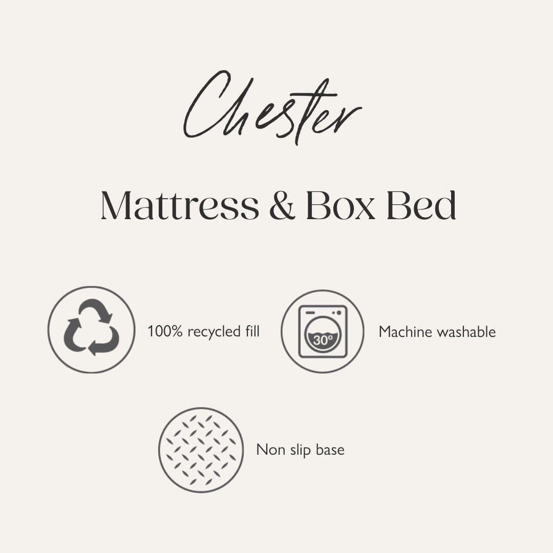 Chester Mattress - Chocolate Brown Dog Bed Scruffs® 