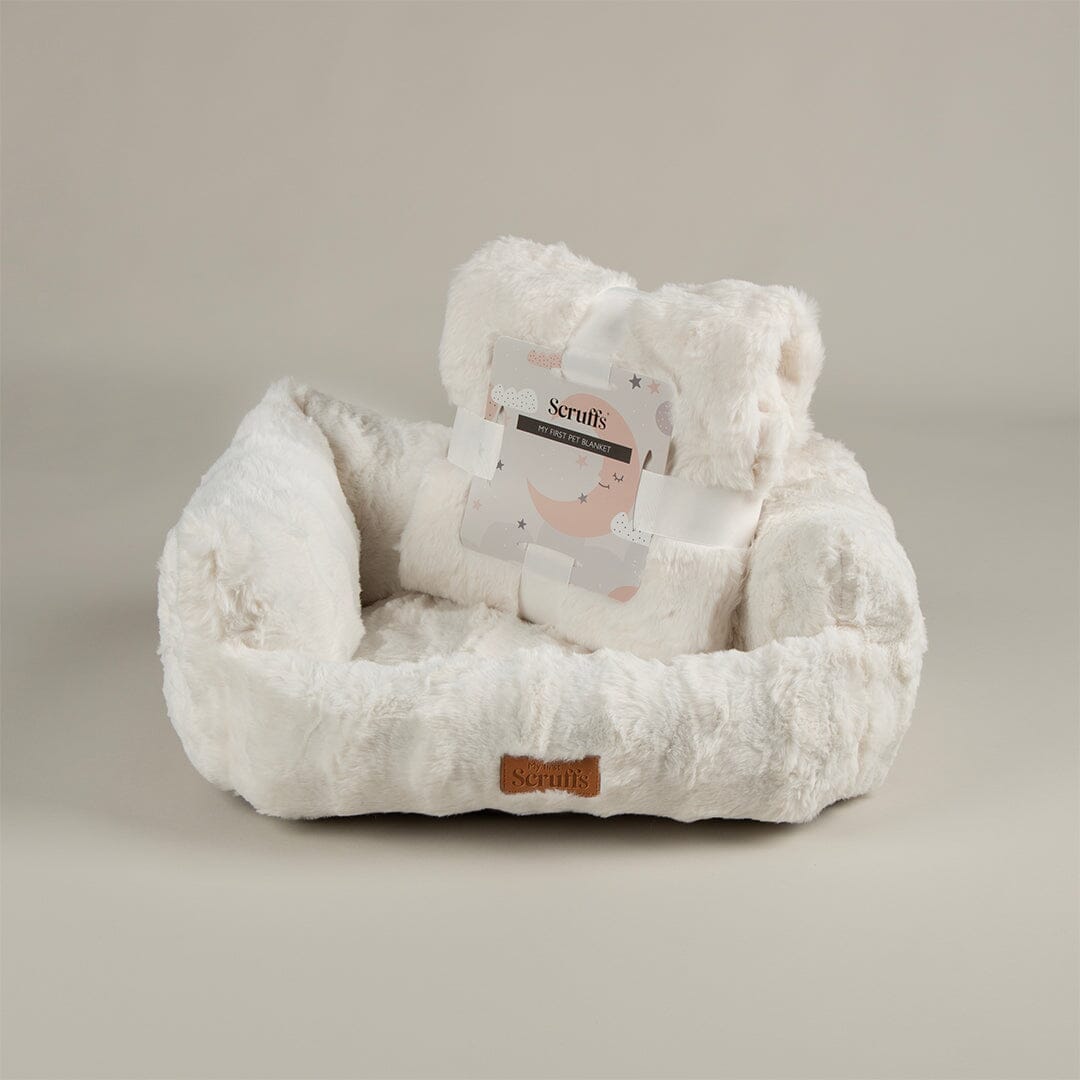Cloud My First Kitten & Puppy Box Bed & Blanket Set