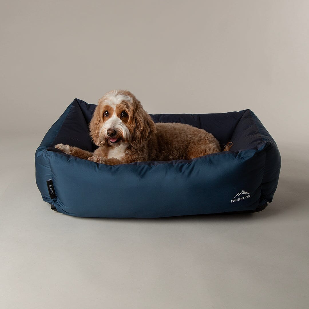 Expedition Water Resistant Box Bed - Atlantic Blue Dog Bed Scruffs® 