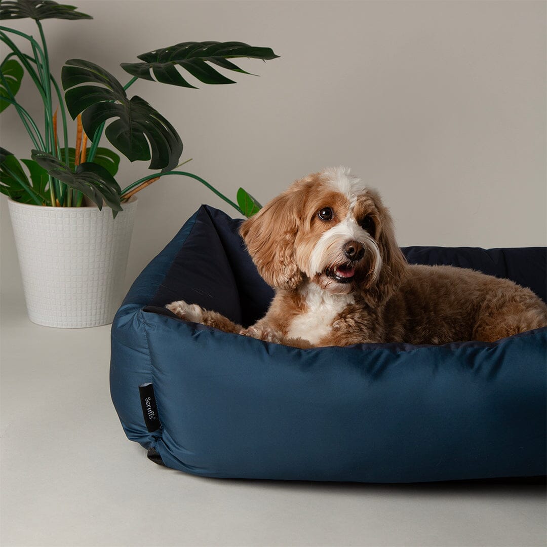 Expedition Water Resistant Box Bed - Atlantic Blue Dog Bed Scruffs® 