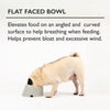 Icon 2 Piece Flat Faced Dog Bowl & Water Bowl - 15cm | 18cm - Cream Pet Bowls, Feeders & Waterers Scruffs® 