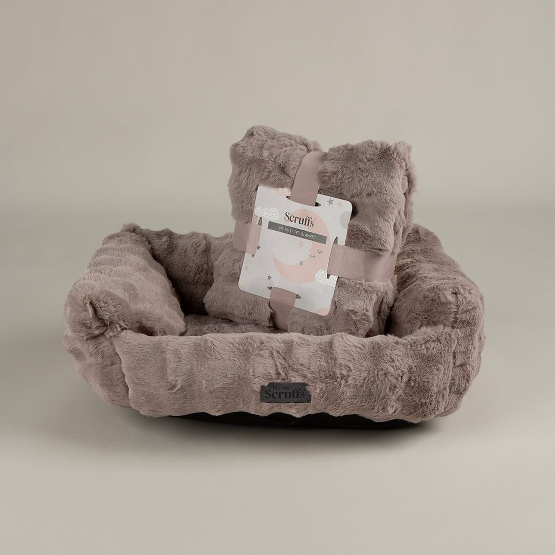 Cloud My First Kitten & Puppy Box Bed & Blanket Set