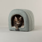 Seattle Cave Cat Bed - Topaz Green Cat Bed Scruffs® 