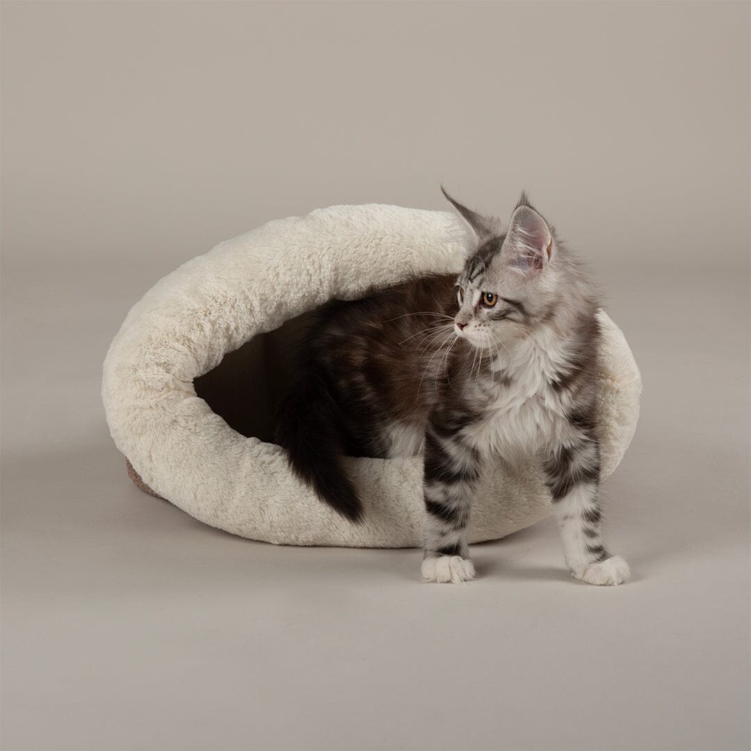 Seattle Crinkle Cat Sleeping Bag - Sienna Brown petslovescruffs 