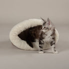 Seattle Crinkle Cat Sleeping Bag - Sienna Brown petslovescruffs 