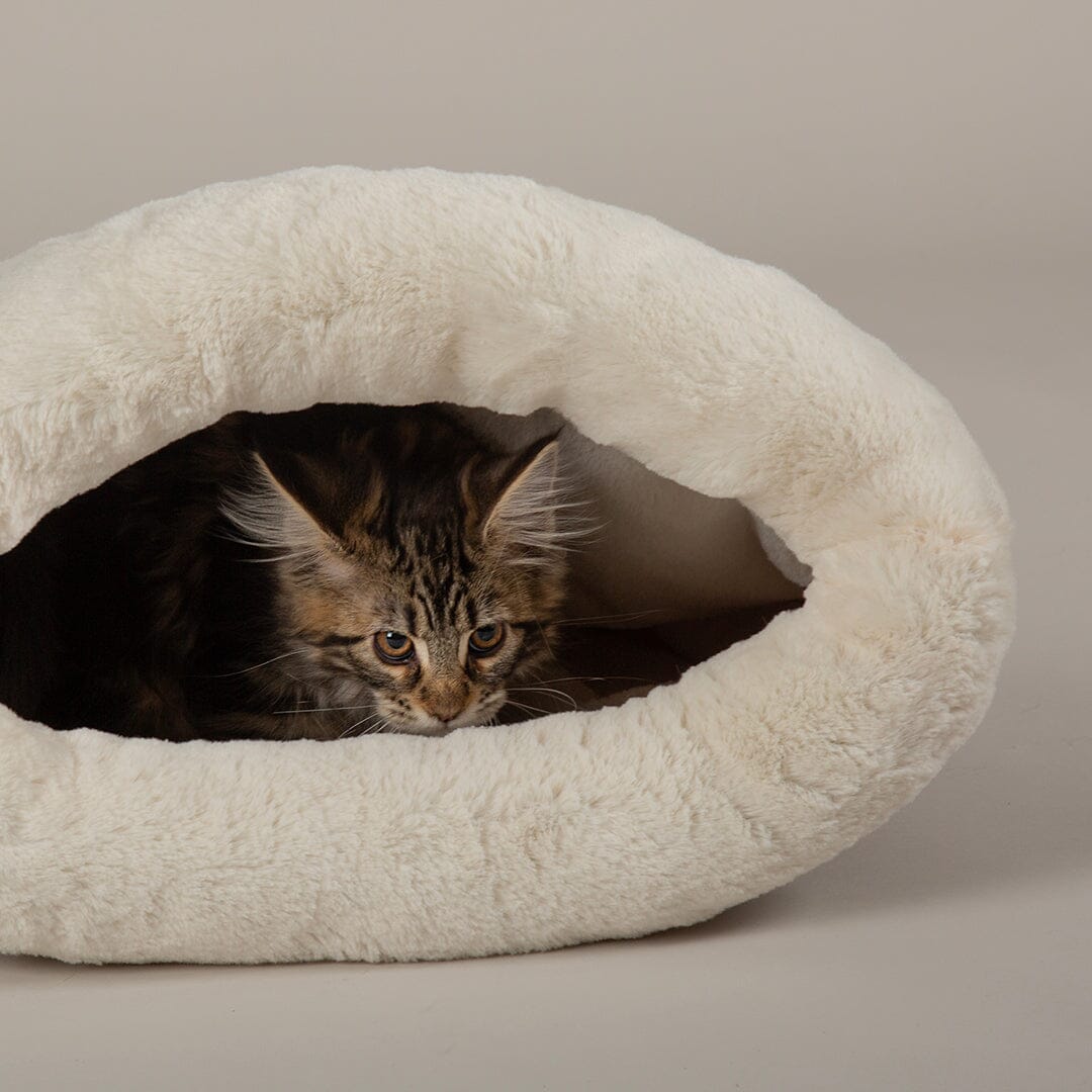 Seattle Crinkle Cat Sleeping Bag - Sienna Brown petslovescruffs 