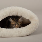 Seattle Crinkle Cat Sleeping Bag - Sienna Brown petslovescruffs 