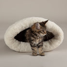 Seattle Crinkle Cat Sleeping Bag - Sienna Brown petslovescruffs 