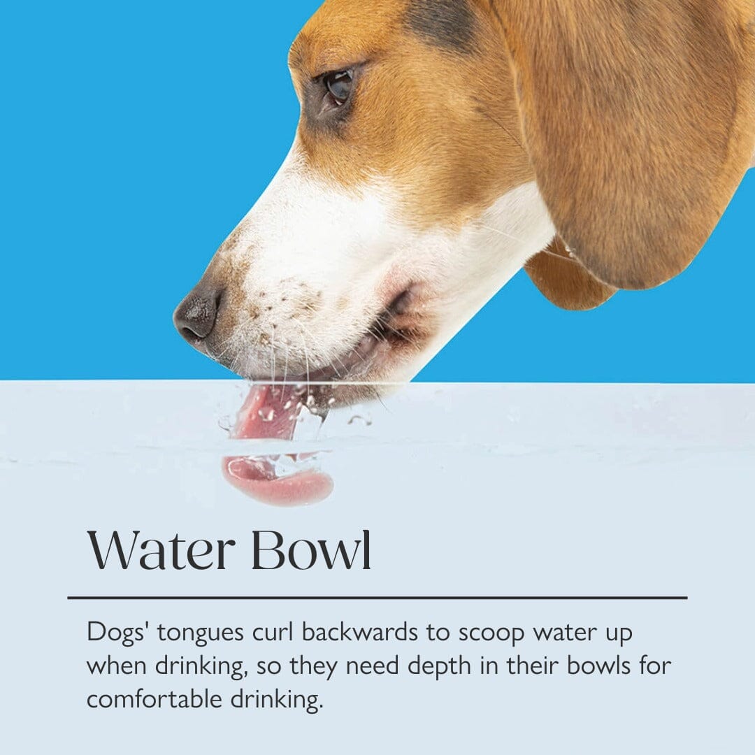 Icon 2 Piece Dog Slow Feeder & Water Bowl Set - 20cm - Light Grey Pet Bowls, Feeders & Waterers Scruffs® 
