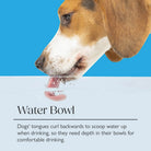 Icon 2 Piece Dog Slow Feeder & Water Bowl Set - 20cm - Light Grey Pet Bowls, Feeders & Waterers Scruffs® 