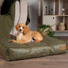 Knightsbridge Mattress - Olive Dog Bed Scruffs® 