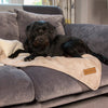 Kensington Blanket - Cream Dog Blanket Scruffs® 