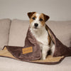 Kensington Blanket - Chocolate Brown Dog Blanket Scruffs® 
