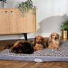 Wilton Mattress - Grey Dog Bed Scruffs® 