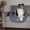Wilton Sofa Bed - Grey Dog Bed Scruffs® 