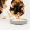Scruffs Classic Cat & Small Pet Saucer - Grey Scruffs 