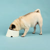 Scruffs Icon Flat Faced Dog Bowl - Cream Scruffs 