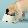 Scruffs Icon Flat Faced Dog Bowl - Cream Scruffs 