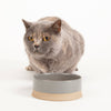 Scruffs Scandi Non Tip Pet Food & Water Bowl - Grey petslovescruffs 