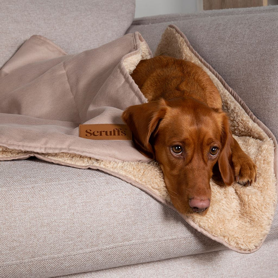 Snuggle Dog Blanket | Pet Blankets | Dog Blankets – petslovescruffs