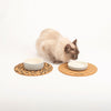 Scruffs 25cm Set of 2 Cork Pet Placemats - Wave & Leopard Pet Bowl Mats Scruffs® 