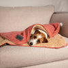 Snuggle Blanket - Terracotta Dog Blanket Scruffs® 