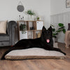 Chateau Orthopaedic Dog Mattress - Latte Dog Bed Scruffs® 