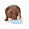 Classic & Icon 2 Piece Dog Food & Water Bowl Set - Blue/Cream Scruffs 